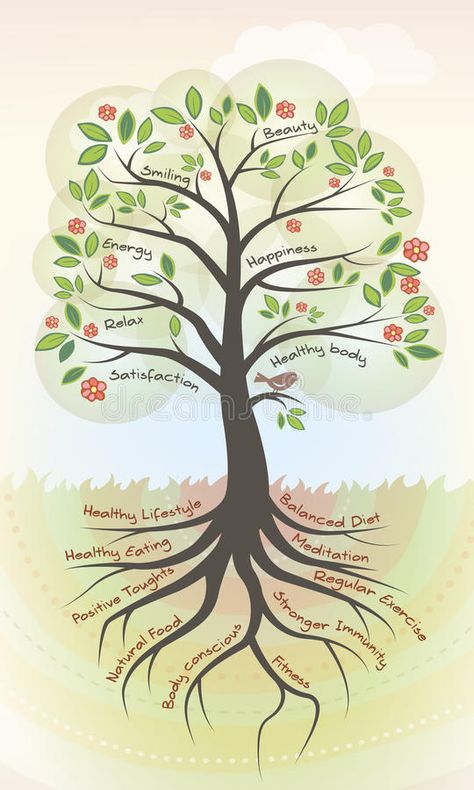 Healthy tree. With concept words and positive concepts on branches and roots , #Ad, #concept, #words, #Healthy, #tree, #branches #ad Tree With Roots Drawing, Soul Branding, Roots Illustration, Roots Drawing, Tree Of Life Images, Tree With Roots, Branch Drawing, Picture Tree, 6th Grade Art