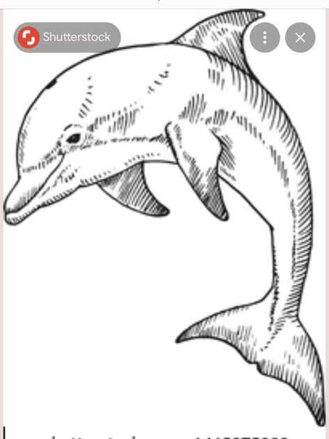 Dolphin Sketch, Fairytale Drawings, Dolphin Drawing, Dolphin Coloring Pages, Shark Coloring Pages, Tattoo Zeichnungen, Adult Coloring Designs, Envelope Art, Anime Tattoos