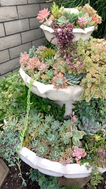 Fountain Succulent Garden, Succulent Waterfall, Suculant Garden, Greenhouse Planters, Succulent Fountain, Serene Backyard, Succulent Display, Rock Garden Landscaping, Garden Tub