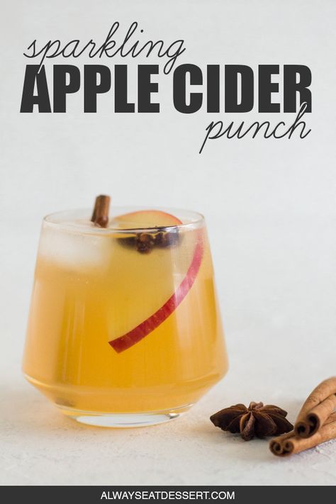 Sparkling Apple Cider Punch, Ginger Ale Punch, Apple Cider Punch Recipes, Cider Punch, Sparkling Apple Cider, Drink Night, Apple Cider Punch, Spiked Apple Cider, Cider Cocktail