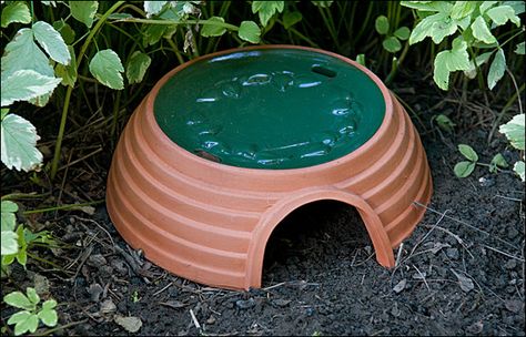 Toad Garden, Helping Nature, House Gardening, Toad House, Bat House, Garden Friends, Lawn Tools, Bird House Kits, Lee Valley Tools