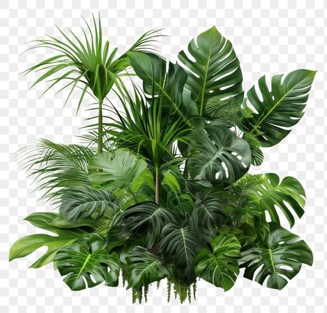 Tropical Png Aesthetic, Plants For Photoshop, Png Plants, Easy Diy Tie Dye, Tropical Png, Rainforest Flowers, Palm Tree Png, Rainforest Trees, Tropical Landscape Design