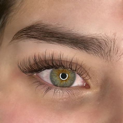 Brown Classic Lash Extensions, Dark Brown Lash Extensions, Brown Lashes, Classic Cat Eye, Classic Lashes, Lash Extensions, Cat Eye, Dark Brown, Eyelashes