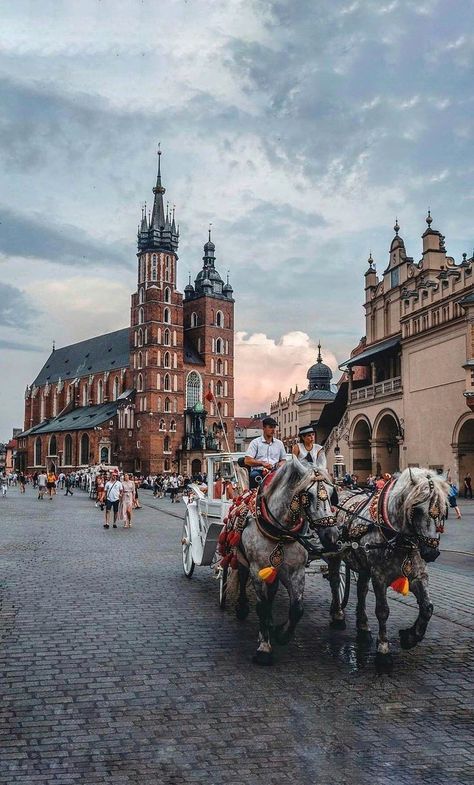 Poland Cities, Krakow Travel, Poland Travel, Krakow Poland, Beautiful Places In The World, Krakow, Travel Inspo, Travel Insurance, Travel Aesthetic