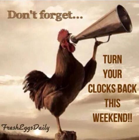 Fall Back Time Change, Daylight Savings Fall Back, Turn Clocks Back, Fall Back Time, Spring Forward Fall Back, Daylight Savings Time Humor, Humor Whatsapp, Clocks Fall Back, Church Sign Sayings