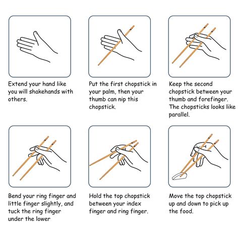 How To Make Chopsticks At Home, How To Use Chopsticks Easy, How To Hold Chopsticks, Hold Chopsticks, How To Use Chopsticks, Reusable Chopsticks, Chopstick Holders, Steel Chopsticks, Bamboo Chopsticks