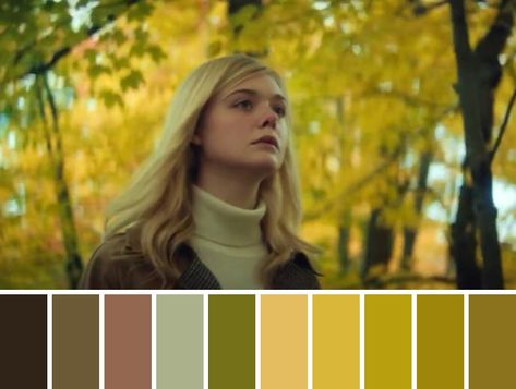 Film Photography Color Palette, Film Moodboard Color Palettes, Movie Color Palette Colour Schemes, Film Stills Cinematography Color Palettes, Cinema Color Palette, Cinematic Color Palette, Film Color Palette, Colorful Movie, Color In Film