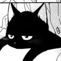 Silly Cat Gif, Black Cat Manga, Doodles Silly, Silly Cat Doodles, Cat Doodles, Black Cat Aesthetic, Black Cat Anime, Cats Art Drawing, Cat Dark