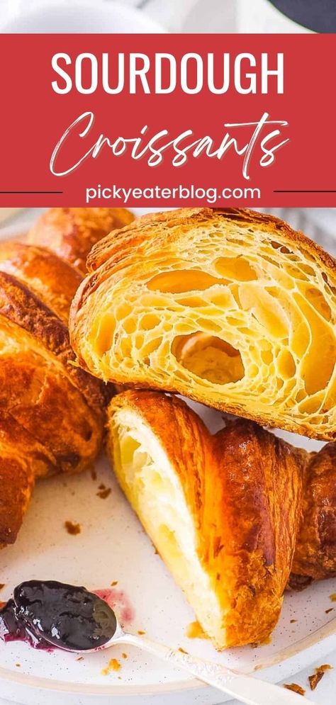 These homemade sourdough croissants are better than the bakery ones! They are fresh, light, and flaky with a glossy golden brown coating. Level up your breakfast or add an extra flare to sandwiches with this easy recipe that the whole family will love! Sourdough Croissant, Croissant Pizza, Sourdough Croissants, Vegan Croissants, Vegetarian Snack, Homemade Croissants, Sourdough Bread Starter, Easy Pie Crust, Sourdough Starter Discard Recipe