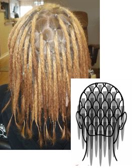 Fantastic Fan pattern for sectioning AND sectioning size chart. Dreadlock Sectioning, Starting Dreads, White Girl Dreads, Alternative Hairstyles, Dreads Short Hair, Partial Dreads, Dreads Care, Dreadlocks Girl, Blonde Dreadlocks