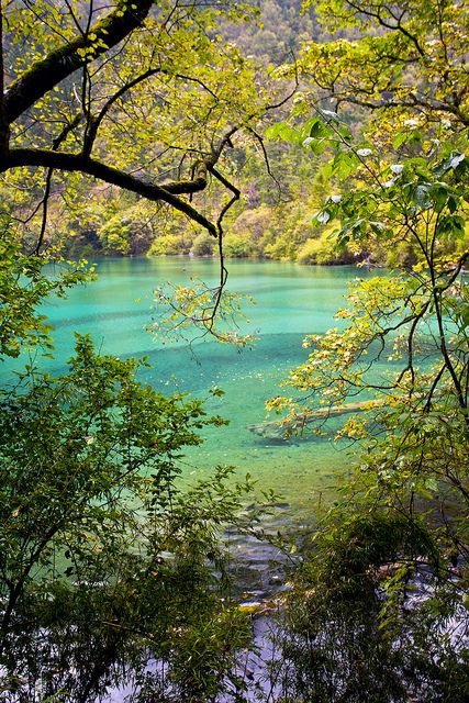 Jiuzhaigou Valley, Tibet 7 Wonders Of World, Business Lawyer, Mirror Lake, Paradise Found, Nature Art Painting, Unesco World Heritage, Unesco World Heritage Site, Most Beautiful Places, Heritage Site