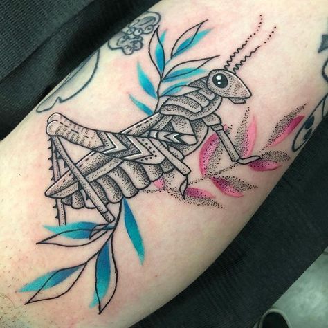 Grasshopper Tattoo Meaning, Grasshopper Tattoo Cute, Grasshopper Tattoo Design, Grass Hopper Tattoo, Catapiller Tattoo, Grasshopper Tattoo, Moth Tattoo Meaning, Rope Tattoo, Tree Tattoo Meaning