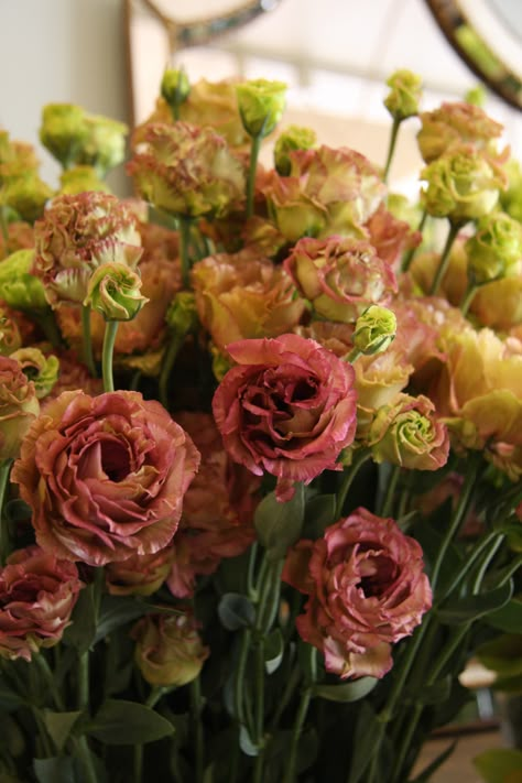 Unique 'cinnamon' colored lisianthus for a brush of color at the reception Brown Lisianthus, Lisianthus Flowers, Floral Palette, Flower Pic, Flower Catalog, Tom Turkey, Wedding August, Autumn Sunset, October 4th