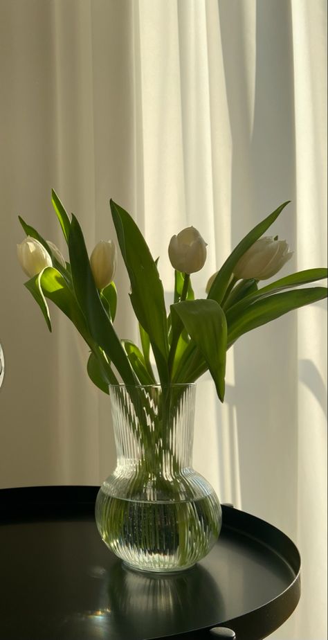 Tulips In Glass Vase, Tulips Vase Aesthetic, Aesthetic Vase Of Flowers, Glass Vase Aesthetic, Vase Tulips, Tab Wallpaper, Tulips Vase, Hyacinth Bouquet, Aesthetic Tulips