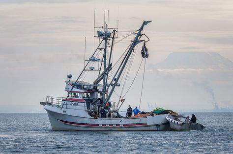 Commercial Fishing Vessels - Wandering101Photography Fishing Boats Aesthetic, Fishing Deep Sea, Deep Sea Fishing Boats, Ocean Fishing Boats, Luxury Fishing Boat, Commercial Fishing, Offshore Boats, Digital Photography Lessons, Fishing Vessel