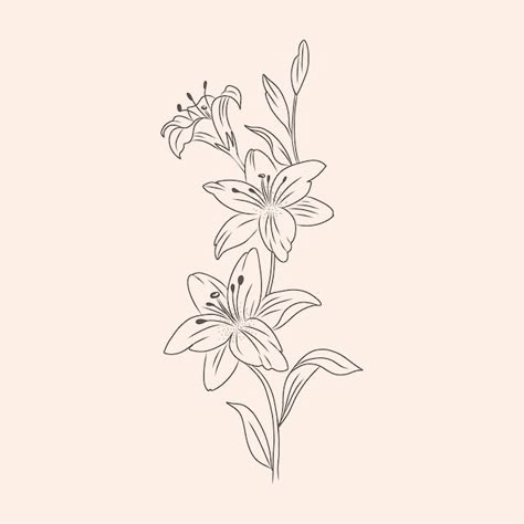 Esquema de flor simple dibujado a mano | Free Vector #Freepik #freevector #flores-simples #flores-dibujo #flores-mano #flores-lineas Lilly Outline Tattoo, One Line Flowers, Simple Flower Outline, Plant Outline, Outline Flowers, Outline Flower, Tangled Flower, Simple Flower Tattoo, Lilies Drawing