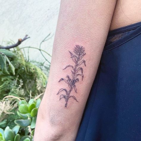 Corn Stalk Tattoo, Corn Tattoo, Corn Stalks, Beautiful Meaning, Corn Seed, Corn Plant, Plant Tattoo, Simplistic Tattoos, Tattoo You