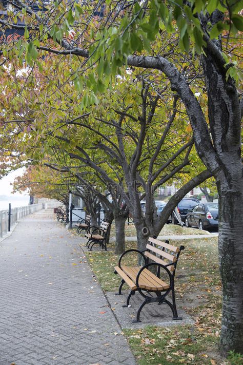 Kursi Taman Aesthetic, Bangku Taman Aesthetic, City Park Aesthetic, Park Reference, Background Park, Street Bench, Japanese Park, New York Park, Park In Autumn