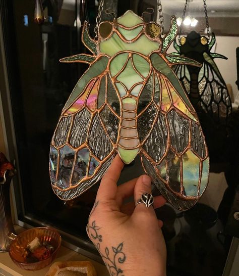 Northern Rivers Stained Glass on Instagram: “Epic #cicada designed and made by our very talented trainee @dracufurb i instantly fell in love with it so I’ve taken this one home. Don’t…” Stained Glass Pattern Ideas, Craft Ideas Gifts, Cool Stained Glass Ideas, Stained Glass Cottagecore, Cicada Aesthetic, Decor Diy Aesthetic, Stained Glass Bugs, Stained Glass Beetle, Stained Glass Aesthetic