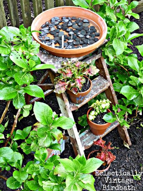 Stepladder terra cotta pot birdbath by Eclectically Vintage via Funky Junk Interiors Birdbath Diy, Birdbath Ideas, Unique Bird Baths, Diy Birdbath, Birds Garden, Old Ladder, Diy Bird Bath, Bird Bath Garden, Bird Baths