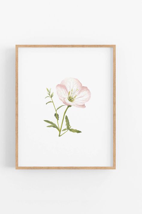 This is a 5x7 print of my original watercolor painting of a primrose wildflower. Printed on thick white, 100% PCW (post consumer waste) recycled paper, 130#. Shipped in a rigid mailer and packaged flat in a clear cellophane sleeve with a hard backer to prevent bending. *Comes unframed* Primrose Drawing Simple, Primrose Line Drawing, Primrose Sketch, Primrose Painting, Primrose Embroidery, Watercolor Primrose, Floral Watercolor Painting, Floral Watercolor Paintings, Painting Floral