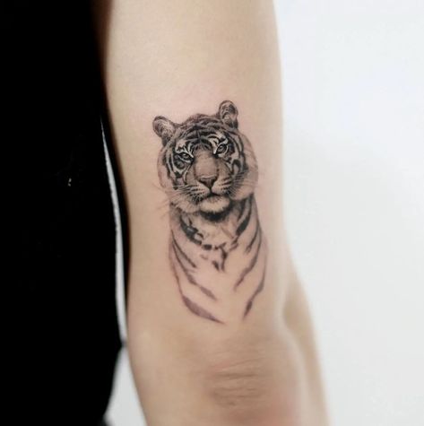 15+ Small Tiger Tattoo Design & Ideas Small Tiger Tattoo, Tiger Tattoo Meaning, White Tiger Tattoo, Tiger Face Tattoo, Tiger Tattoo Sleeve, Big Cat Tattoo, Tiger Tattoos, Lion Tattoos, Petit Tattoo