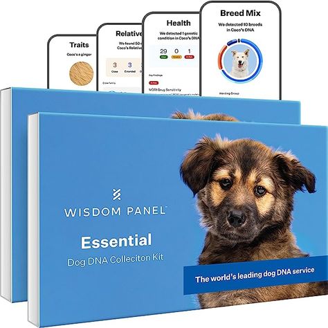 Dog Dna Test, Dna Results, Medical Facts, Dna Test, Health Conditions, Dog Health, Pet Parent, Genetic, Pet Supplies Dog