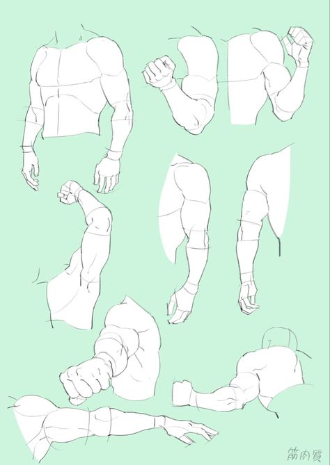 Arm Anatomy, Human Anatomy Drawing, Hand Drawing Reference, Human Anatomy Art, Anatomy Sketches, Body Reference Drawing, 캐릭터 드로잉, Anatomy Drawing, Figure Drawing Reference