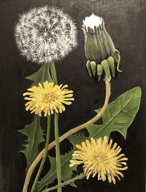 Dandelion Drawing, Dandelion Painting, Dandelion Art, Scratchboard Art, Flower Drawing Tutorials, 강아지 그림, Dandelion Flower, Landscape Art Painting, Sunflower Art