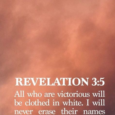 Faith Builder Daily on Instagram: "God is Good Amen ✝️" Revelation 5, Revelation Bible, Prayer Changes Things, Book Of Revelation, Daily Bible Verse, Daily Bible, Verse Of The Day, White Horse, Verse Quotes