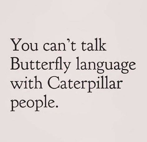 You Can't Talk Butterfly Language With Caterpillar People, You Can’t Talk Butterfly Language, Caterpillar Quotes, Listen Quotes, Finding Your Tribe, Butterfly Caterpillar, My Space, A Butterfly, Friendship Quotes