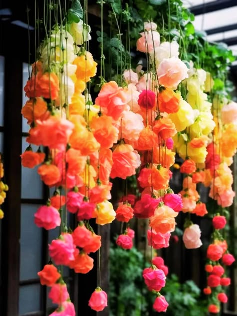 25 graines de fleurs de bégonia pleureur arc-en-ciel belle fleur de jardin suspendue pour la plantation de jardin facile à cultiver été printemps Utilisez un plateau de départ et une formule de terreau pour semer les graines dans un récipient peu profond. Placez la plaque à la lumière indirecte du soleil pour favoriser la germination. Les bégonias ont besoin d'un temps chaud, généralement d'environ 70 o F à 75 o F, pour garder le sol humide et sain. Graines de micro-pousses biologiques Graines résistantes à la sécheresse Graines faciles à cultiver Graines d'herbes médicinales Graines de fleurs sauvages vivaces Graines d'herbes culinaires Graines succulentes rares Graines de jardin pour terrasse Graines de plantes indigènes Graines d'ombre pour jardin Kits de graines de bricolage Graines re Hanging Faux Floral Arrangement, Unique Potted Plants, Dangling Flowers, Flower Therapy, Low Maintenance Plants, Hanging Garden, Pretty Plants, African Violets, Beautiful Flowers Pictures