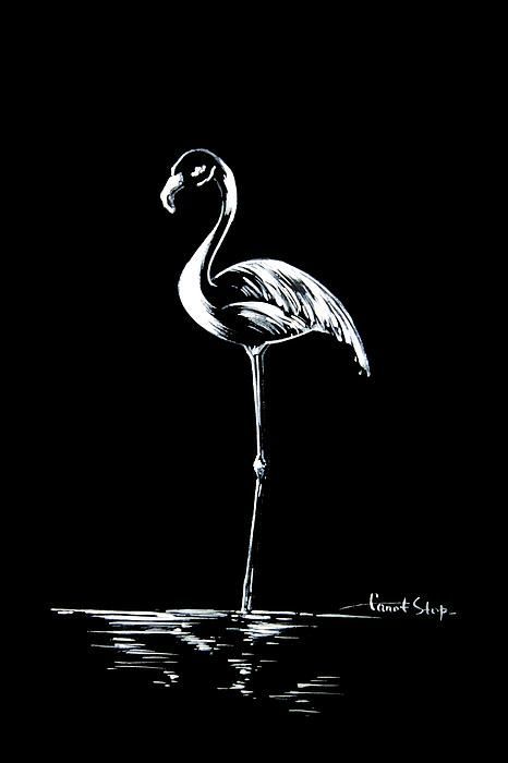 White On Black Drawing, Black And White Painting Ideas, Drawing Flamingo, Art Black Background, Black Canvas Art, Black Drawing, Scratchboard Art, Black Canvas Paintings, Black Paper Drawing