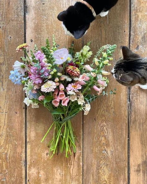 Marlee Rose Imbarrato - FLEUR on Instagram: "Bouquet on the floor: a series featuring Petunia and Monet . . . . . . . #wedding #bouquet #garden #floretfarm #magnolia #flower #flowers #dahlia #dahlias #weddingbouquet#flowersofinstagram #fleurflowerfarm #betterhomesandgardens #farmerflorist #flowerfarm #cutflowers #cutflowerfarm #farmhouse #cafeaulaitdahlia #flowerfarmer #floraldesign #decor #weddingcenterpiece #flowerphotography #roses #foxglove" Foxglove Wedding, Foxglove Bouquet, Foxglove Wedding Flowers, Foxglove Wedding Bouquet, Flower Arrangements With Foxglove, Foxglove Flower Aesthetic, Fox Glove Flower, Scottish Wildflower Bouquet, Cut Flower Farm