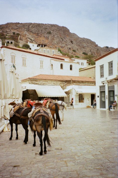 Hydra Greece, Travel Notes, Camel, Greece, Horses, Travel, Quick Saves