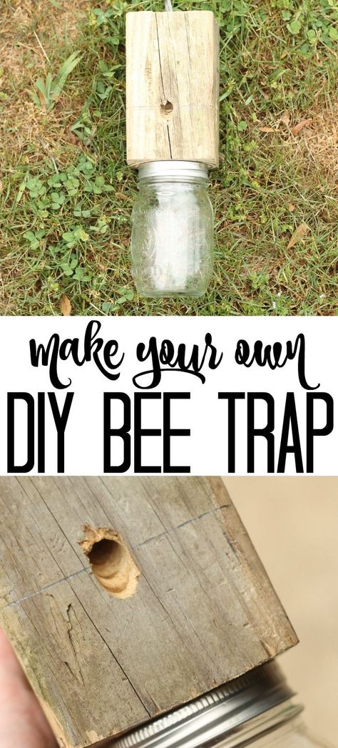 Make a carpenter bee trap for your home with this DIY instructions! Perfect use for a mason jar and scrap wood! #gardening #outdoors Bee Catcher Diy, Diy Bee Trap, Diy Carpenter Bee Trap How To Build, How To Make Carpenter Bee Traps, How To Make A Carpenter Bee Trap, Carpenter Bee Traps Diy How To Build, Mason Jar Bee Hive Diy, Carpenter Bee Trap Diy, Wood Bee Trap