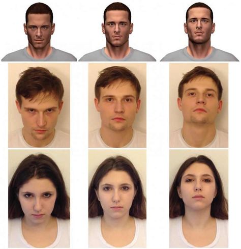 Facial Action Coding System, Head Angles, Head Tilt, Psychological Science, University Of British Columbia, Drawing Heads, Wide Face, Health Research, Facial Muscles