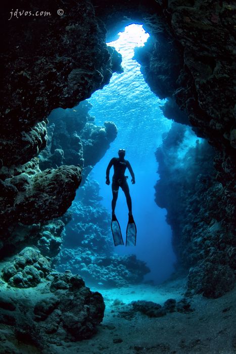 شرم الشيخ, Scuba Diving Photography, Fauna Marina, Cave Diving, Scuba Gear, Scuba Diving Gear, Free Diving, Underwater Photos, Scuba Diver