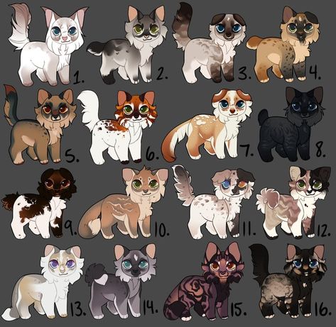 Cat Adopts, Change Eye Color, Frilled Lizard, Warrior Cat Names, Warrior Cats Comics, Cat Drawing Tutorial, Cats Art Drawing, Warrior Cats Fan Art, Warrior Cat Drawings