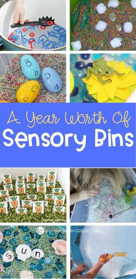 This collection of 12 Classroom Sensory Bin Activities will last you all year long and most can be stored for repeated use year after year! #sensorybin #sensoryactivities #preschoolactivities #kindergartenteachers Project Based Learning Middle School, Toddler Lesson Plans, Kids Learning Activities Preschool, Sensory Bin Activities, Kindergarten Sensory, Early Childhood Education Classroom, Fall Kindergarten Activities, Sensory Bin Ideas, Childhood Activities