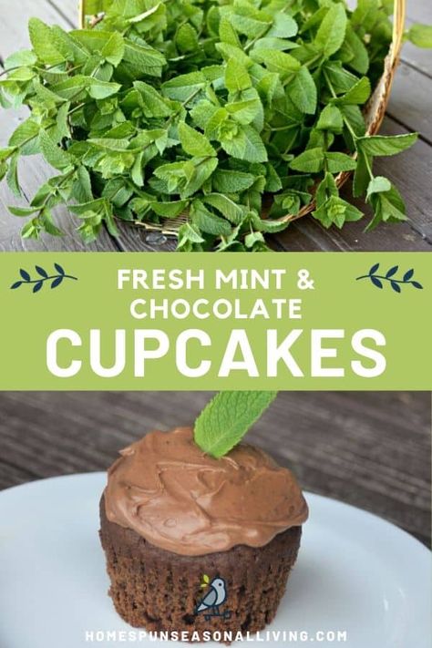 Mint chocolate cupcakes are a delicious way to use up the fresh mint harvest and share it with friends and family in a portable form. Get the easy recipe and ideas to switch it up on my blog. #homemaderecipes #fromscratch #recipeideas Mint Recipes Dessert, Easy Vanilla Frosting, Mint Chocolate Cupcakes, Mint Frosting, Mint Desserts, Dark Chocolate Mint, Cake Decorating For Beginners, Seasonal Living, Mint Recipes