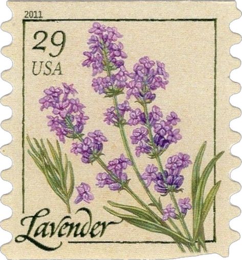 Lavender Flower Aesthetic Vintage, L Aesthetic, Lavender Stamp, Usa Stamps, Postal Vintage, Lavender Aesthetic, Aesthetic Sticker, Png Aesthetic, Postage Stamp Art