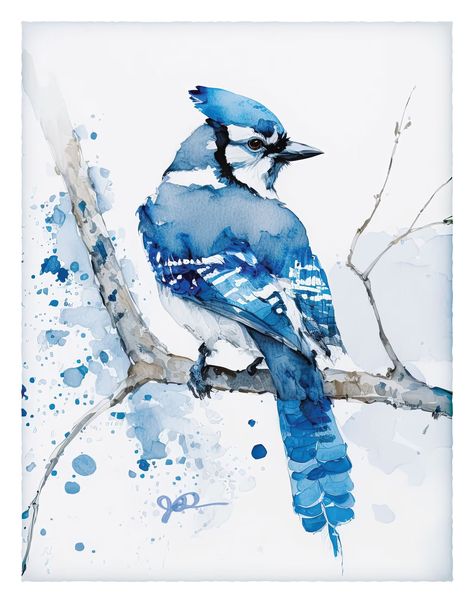 Blue Jay Watercolor Print Bird Watercolor Painting Giclee Gift Print Bird Art Wall Hanging Fine Art Paper Wildlife Art Minimalist Decor - Etsy Watercolor Bird Paintings, Watercolor Blue Jay, Blue Jay Art, Bluebird Watercolor, Bird Watercolor Art, Bird Watercolor Paintings, Bird Watercolor, Loose Watercolor, Watercolor Blue