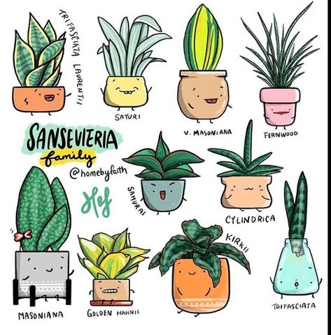 Shark Silhouette, Plant Doodle, Sansevieria Plant, Positive Art, Inside Plants, Uplifting Words, Plant Drawing, Family Illustration, Illustrators On Instagram