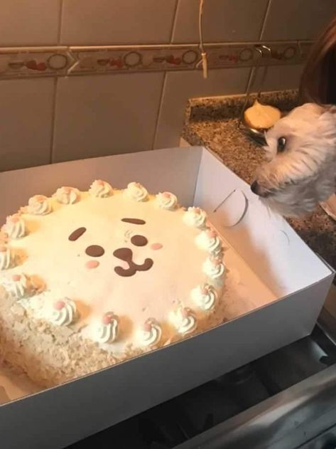 Rj cake, dog, birthday cake Rj Cake Bt21, Bt21 Cake Birthday Ideas, Kpop Birthday Cake Ideas, Bt21 Birthday Cake, Kpop Cake Design, Bts Cake Ideas, Rj Cake, Kpop Cake Ideas, Kpop Birthday Cake