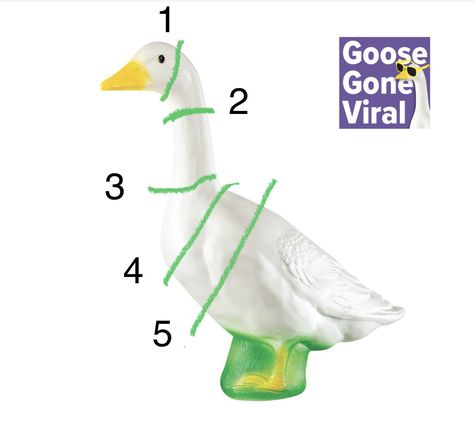 ￼ 1 = 10-1/3” /// 2 = 8” /// 3 = 10” ///   4 = 19”   /// 5 = 27-1/2” Goose Outfits Patterns, Porch Goose Crochet Pattern, Porch Goose Clothes Patterns Free, Gabby Outfits, Porch Geese, Yard Goose, Gigi Outfits, Garden Goose, Goose Costume