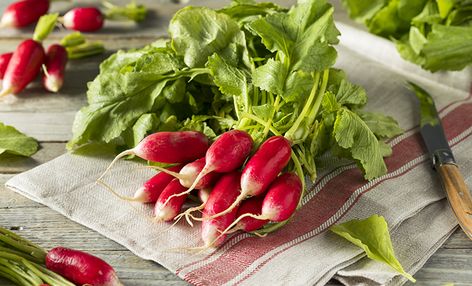 James Beard on the pleasures of radishes, and how to prepare them. Vegetable Puree Soup, Deviled Crab, French Breakfast Radish, Red Radish, Poached Fish, Crudite Platter, Crop Design, Recipes For Appetizers, Radish Recipes