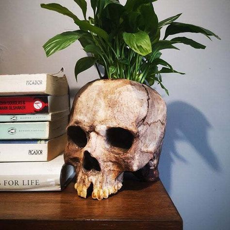 Helloween Decor Planter Home decor Skull Pot, Skull Planter, Skull Model, Resin Planters, Skull Flower, Skeleton Decorations, Foam Pumpkins, Flower Pots Outdoor, Unique Planter