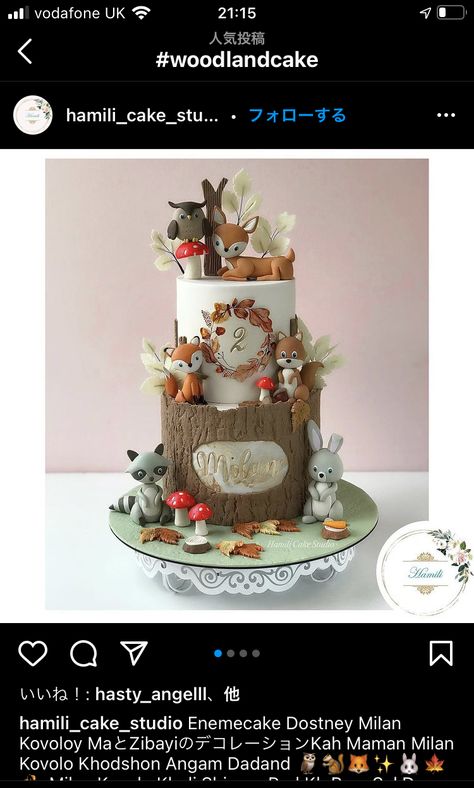 Cute Cakes Ideas, Decor Ideas Birthday, Cake Decor Ideas, Woodland Theme Cake, Woodland Birthday Cake, Birthday Cake Decor, Fairy Birthday Cake, Boys First Birthday Cake, Bento Cakes