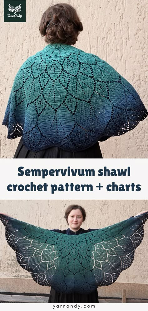 Top image: back view of green to blue gradient shawl with lace details that look like leaves growing from a central point at the nape of the neck of the wearer. Text "Sempervivum shawl crochet pattern + charts". Bottom image: full view of shawl, with scalloped edge and the background showing through lacy leaf details. Crescent Shawl Pattern, Crescent Shawl, Crochet Lace Shawl, Crochet Project Ideas, Crochet Shrug Pattern, Shrug Pattern, Gradient Yarns, Crochet Shrug, Lace Shawl